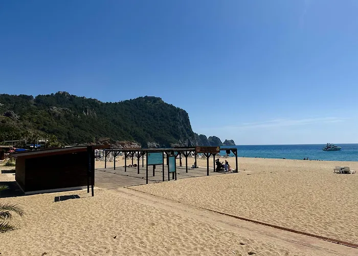 アパート Sa Apartments! 150m To The Cleopatra アランヤ