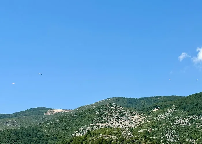 Lägenhet Sa Apartments! 150m To The Cleopatra Alanya